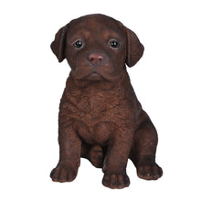 Load image into Gallery viewer, Chocolate Labrador Puppy
