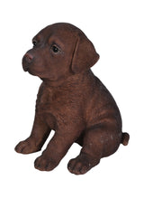 Load image into Gallery viewer, 87771-S - PET PALS - LABRADOR PUPPY - CHOCOLATE
