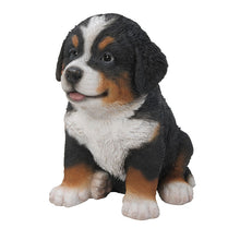 Load image into Gallery viewer, Bernese Mountain Dog Puppy
