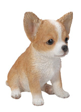 Load image into Gallery viewer, 87771-V - PET PALS - CHIHUAHUA - BROWN/WHITE PUPPY
