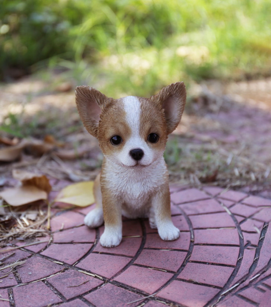 87771-V - PET PALS - CHIHUAHUA - BROWN/WHITE PUPPY