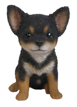 Load image into Gallery viewer, PET PALS - CHIHUAHUA - BLACK/BROWN PUPPY

