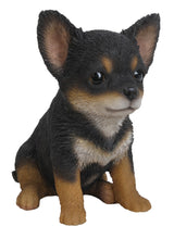 Load image into Gallery viewer, 87771-W - PET PALS - CHIHUAHUA - BLACK/BROWN PUPPY
