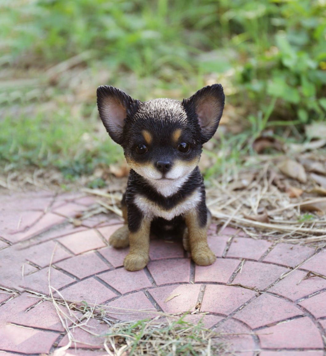 87771-W - PET PALS - CHIHUAHUA - BLACK/BROWN PUPPY