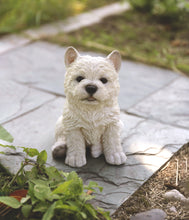 Load image into Gallery viewer, 87771-Y - PET PALS - WHITE TERRIER PUPPY
