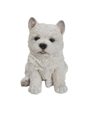 Load image into Gallery viewer, 87771-Y - PET PALS - WHITE TERRIER PUPPY
