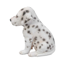 Load image into Gallery viewer, Dalmatian Puppy Statue
