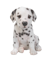 Load image into Gallery viewer, PET PALS - DALMATIAN PUPPY
