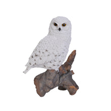 Load image into Gallery viewer, 87772 - SNOWY OWL ON STUMP
