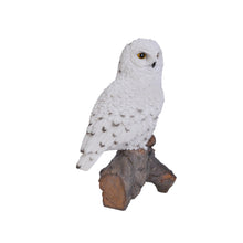 Load image into Gallery viewer, 87772 - SNOWY OWL ON STUMP
