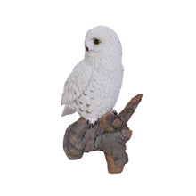 Load image into Gallery viewer, 87772 - SNOWY OWL ON STUMP
