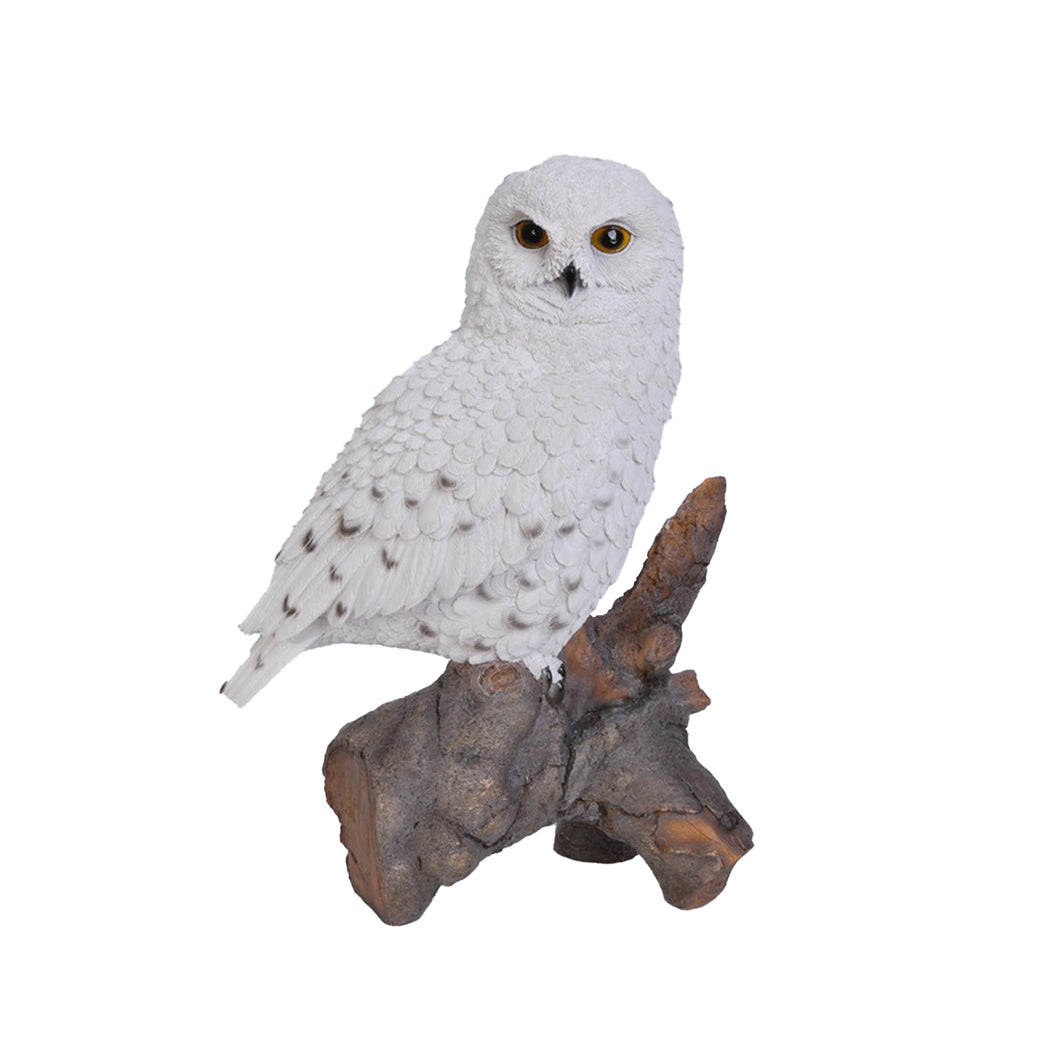 87772 - SNOWY OWL ON STUMP