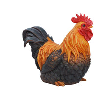 Load image into Gallery viewer, ROOSTER SQUATTING
