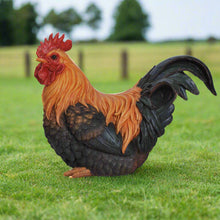 Load image into Gallery viewer, ROOSTER SQUATTING
