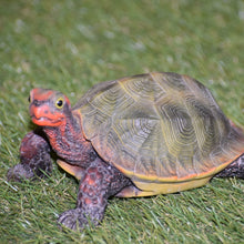 Load image into Gallery viewer, 87784 - TURTLE-SMALL JAPANESE LAND TURTLE
