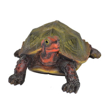 Load image into Gallery viewer, 87784 - TURTLE-SMALL JAPANESE LAND TURTLE
