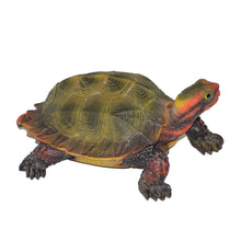 Load image into Gallery viewer, 87784 - TURTLE-SMALL JAPANESE LAND TURTLE
