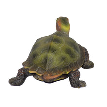 Load image into Gallery viewer, 87784 - TURTLE-SMALL JAPANESE LAND TURTLE
