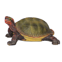 Load image into Gallery viewer, 87784 - TURTLE-SMALL JAPANESE LAND TURTLE
