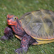 Load image into Gallery viewer, 87784 - TURTLE-SMALL JAPANESE LAND TURTLE
