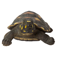 Load image into Gallery viewer, 87785 - TURTLE-LARGE SPOTTED TURTLE
