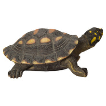 Load image into Gallery viewer, 87785 - TURTLE-LARGE SPOTTED TURTLE
