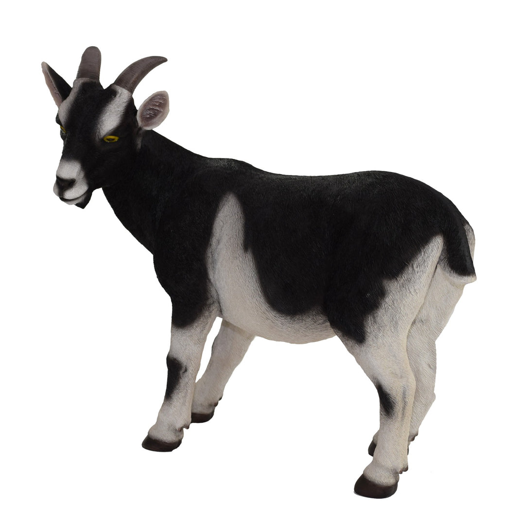 87786 - GOAT BLACK/WHITE