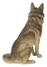 Load image into Gallery viewer, 87789-B - SITTING COYOTE STATUE (HI-LINE EXCLUSIVE)
