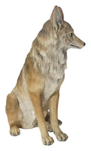 Load image into Gallery viewer, 87789-B - SITTING COYOTE STATUE (HI-LINE EXCLUSIVE)
