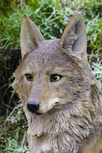 Load image into Gallery viewer, 87789-B - SITTING COYOTE STATUE (HI-LINE EXCLUSIVE)
