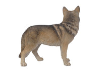 Load image into Gallery viewer, 87789 - COYOTE STANDING
