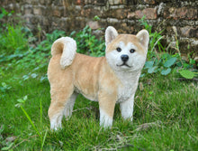 Load image into Gallery viewer, 87790-C - DOG-AKITA WALKING-LARGE
