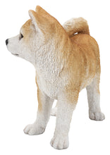 Load image into Gallery viewer, 87790-C - DOG-AKITA WALKING-LARGE
