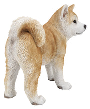 Load image into Gallery viewer, 87790-C - DOG-AKITA WALKING-LARGE
