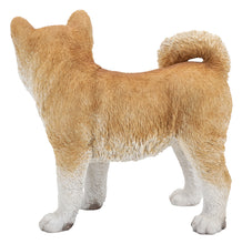 Load image into Gallery viewer, 87790-C - DOG-AKITA WALKING-LARGE
