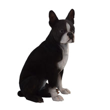 Load image into Gallery viewer, 87791 - DOG-BOSTON TERRIER
