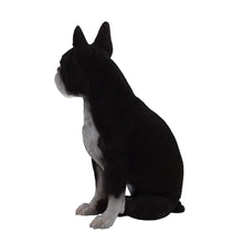 Load image into Gallery viewer, 87791 - DOG-BOSTON TERRIER
