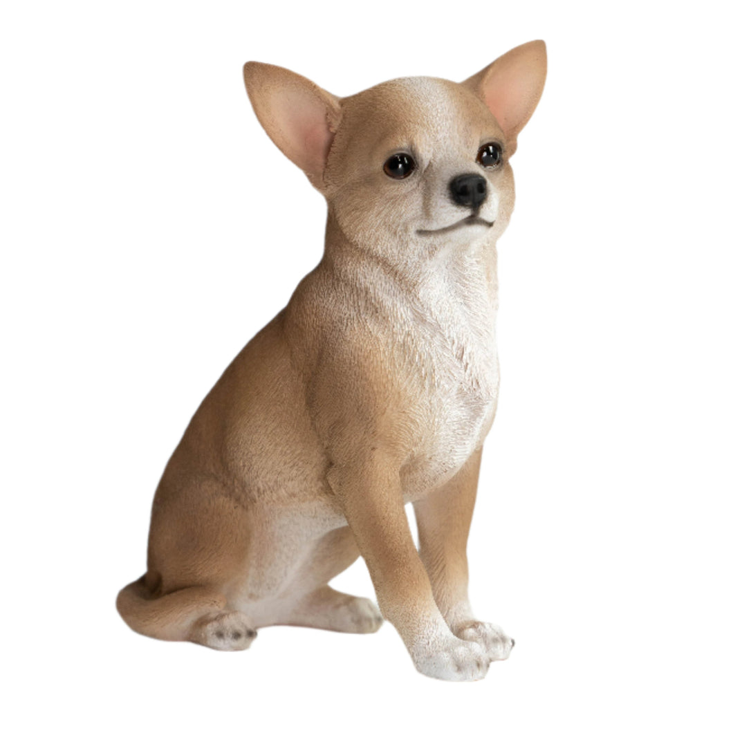 87793 - DOG-CHIHUAHUA SITTING