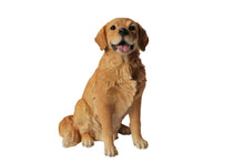 Load image into Gallery viewer, 87796 - DOG-GOLDEN RETRIEVER SITTING
