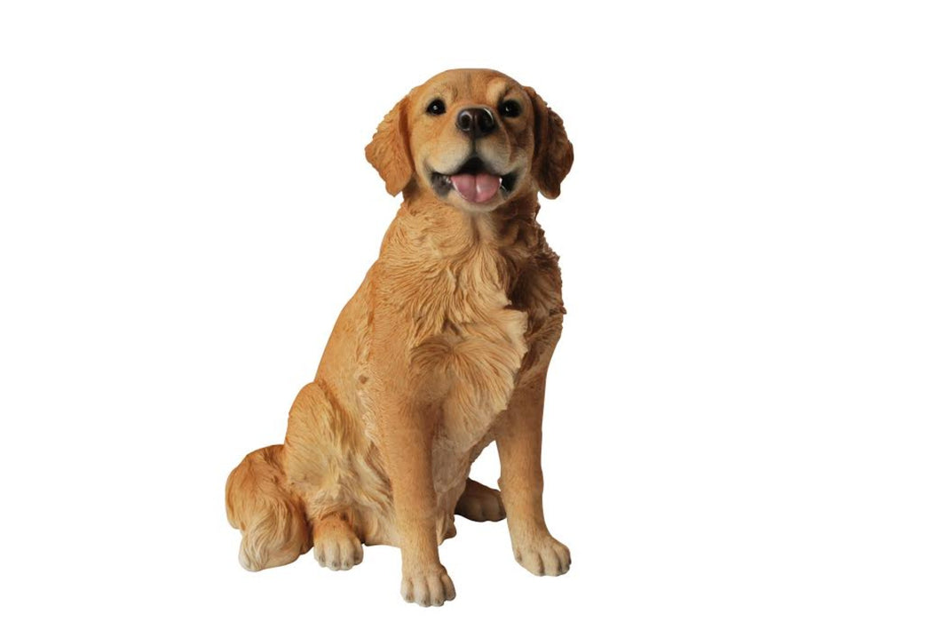 87796 - DOG-GOLDEN RETRIEVER SITTING