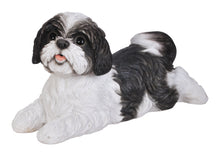 Load image into Gallery viewer, DOG-SHIH TZU LYING DOWN - BLACK/WHITE
