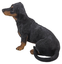 Load image into Gallery viewer, 87799-B - DOG-DACHSHUND
