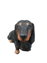 Load image into Gallery viewer, Soreal - Dachshund Black
