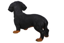 Load image into Gallery viewer, 87799 - DOG-DACHSHUND STANDING
