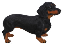 Load image into Gallery viewer, 87799 - DOG-DACHSHUND STANDING
