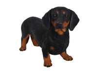 Load image into Gallery viewer, 87799 - DOG-DACHSHUND STANDING
