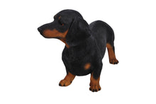 Load image into Gallery viewer, 87799 - DOG-DACHSHUND STANDING
