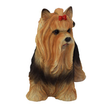 Load image into Gallery viewer, 87802 - DOG-YORKSHIRE TERRIER
