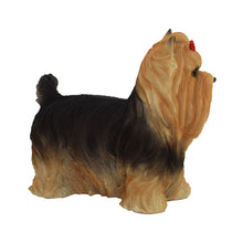 Load image into Gallery viewer, 87802 - DOG-YORKSHIRE TERRIER
