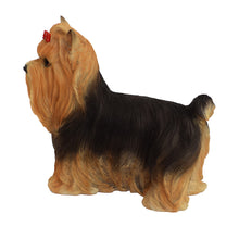 Load image into Gallery viewer, 87802 - DOG-YORKSHIRE TERRIER
